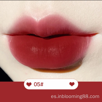 Etiqueta privada Cosmética impermeable logotipo personalizado Lip Gloss